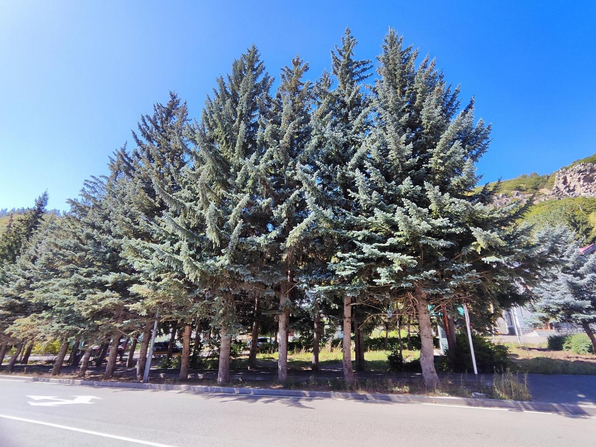 Jermuk Mini Apartment Bagian luar foto